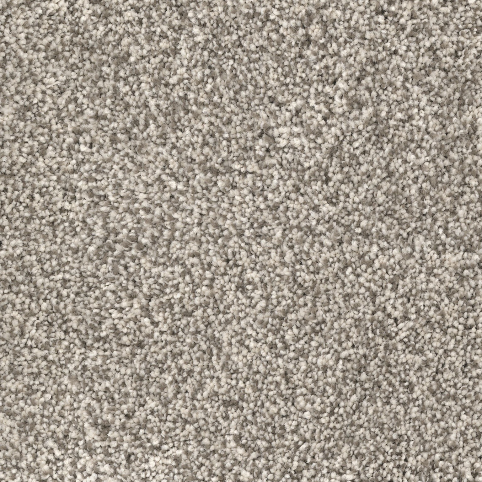 Florence Carpet Rapid Supply and Sales